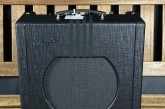 Supro Delta King 12-1.jpg